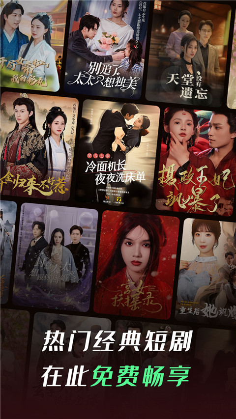 猫咪在向日葵花丛中追逐光斑的壁纸